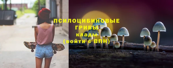 хмурый Абинск