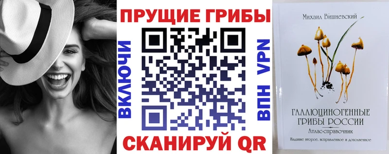 как найти закладки  Камень-на-Оби  Псилоцибиновые грибы прущие грибы 