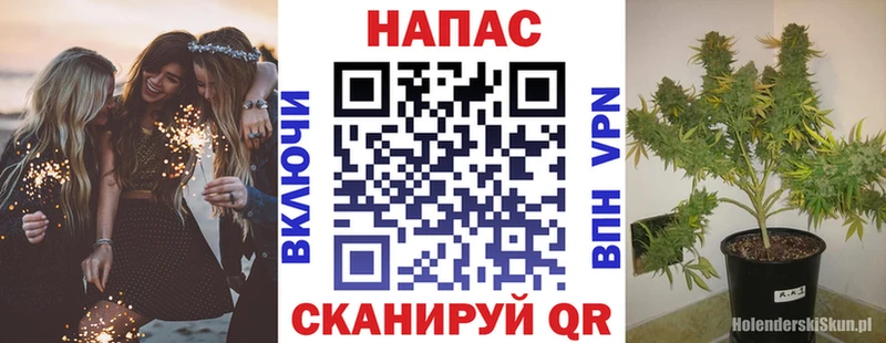 Бошки марихуана Bruce Banner  Камень-на-Оби 
